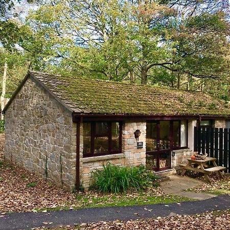 Cosy Woodland HomeUny Lelant エクステリア 写真
