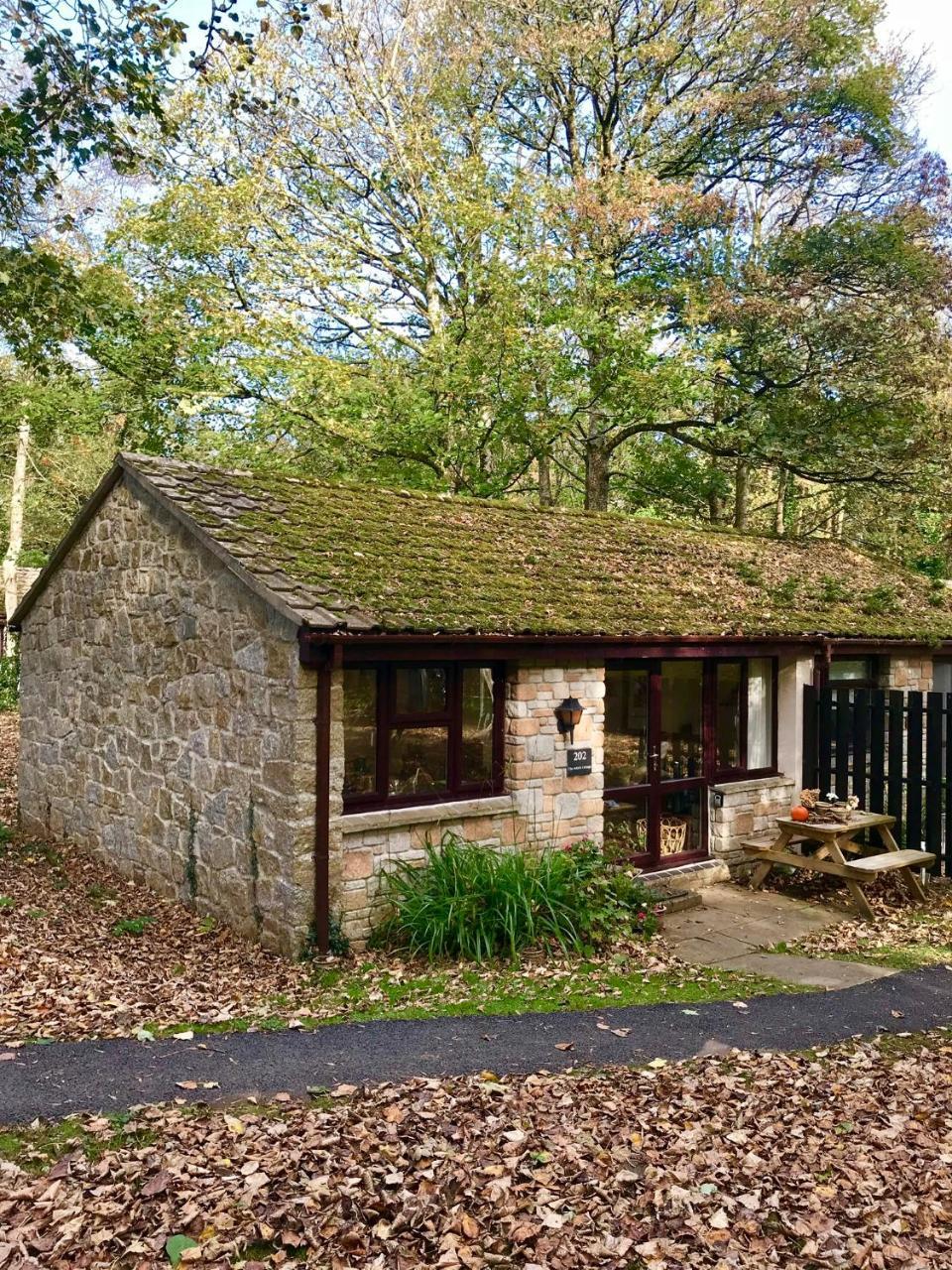 Cosy Woodland HomeUny Lelant エクステリア 写真